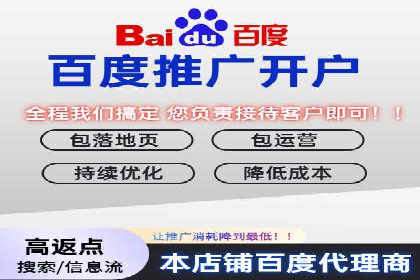 SEM运营策略案例分析